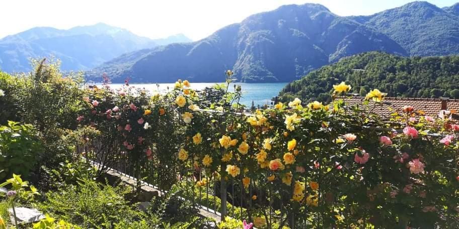 Magic Garden With Jacuzzi-Pool And Luxury Lake Como View Lenno Exterior photo